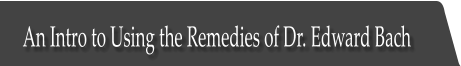 An Intro to Using the Remedies of Dr. Edward Bach